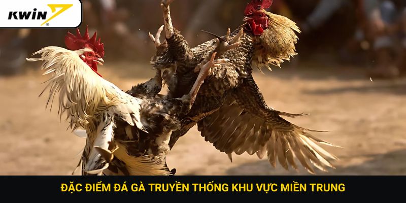 Đặc điểm đá gà truyền thống khu vực miền Trung