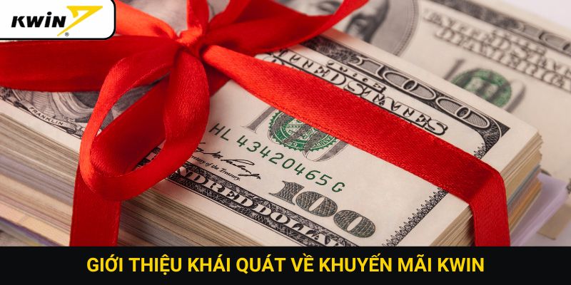 Giới thiệu khái quát về khuyến mãi Kwin